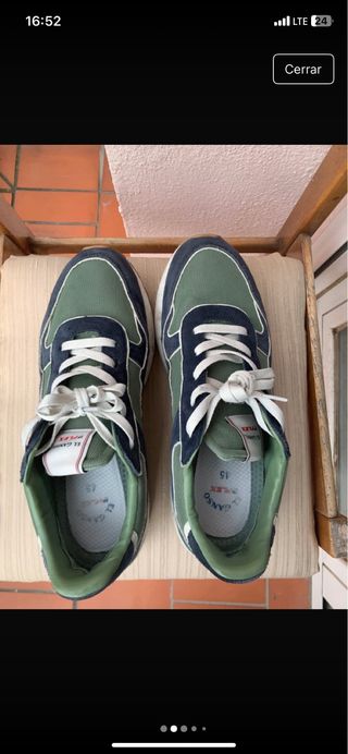 Zapatillas El Ganso x Flex Verde y Azul