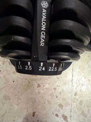 Mancuernas Ajustables Avalon Gear (24kg)