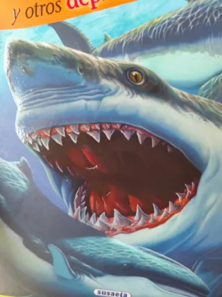 Tiburones y otros depredadores marinos