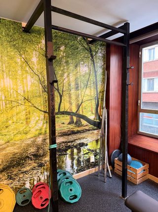 Jaula Sentadillas Press Pecho Rack