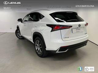 Lexus NX300h EXECUTIVE NAVI 2020 REF 3276
