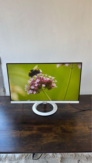 Monitor Asus 24” Blanco