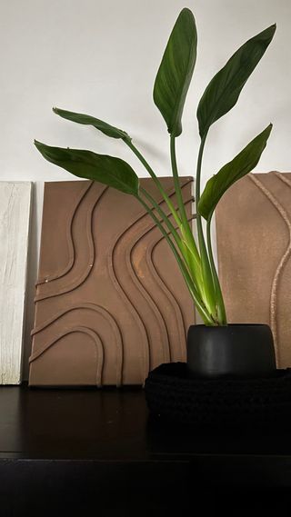 Cuadros decorativos 1€ cada uno