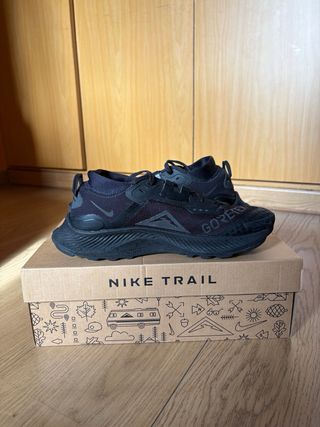 Nike Pegasus Trail 3 con tecnología Gore-Tex