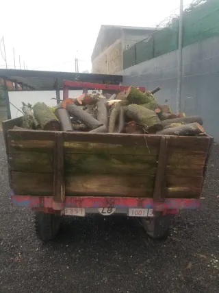 Leña de loureiro e mimosa