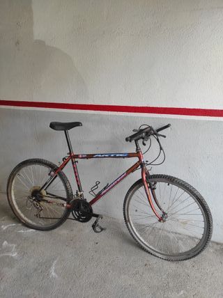Bicicletas Vintagede montaña.