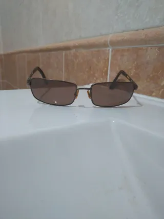 Gafas de sol Carrera polarizadas marrones