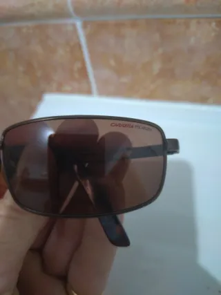 Gafas de sol Carrera polarizadas marrones