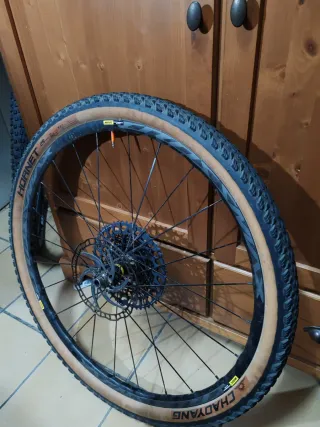 Rueda MTB 29 Mavic crossmax elite