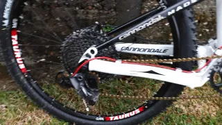 Cannondale rize