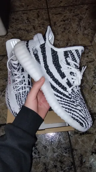yeezy zebra 43