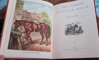The nursery wonder book. Libro antiguo inglés