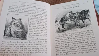 The nursery wonder book. Libro antiguo inglés