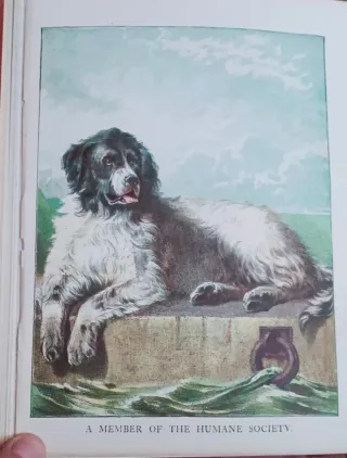 The nursery wonder book. Libro antiguo inglés