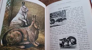 The nursery wonder book. Libro antiguo inglés