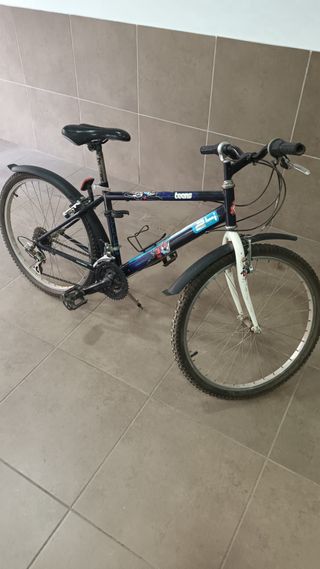 Bicicleta infantil aluminio