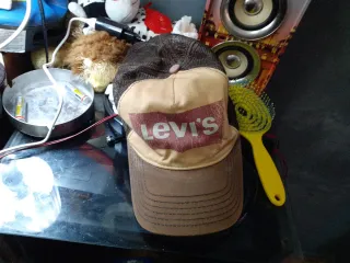 Gorra Levi's Beige y Marrón