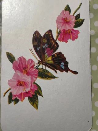 Carte da gioco Ramino Scala 40