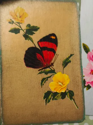 Carte da gioco Ramino Scala 40