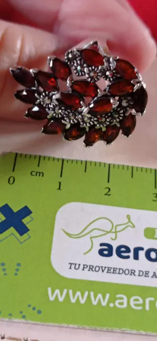 Anillo antiguo hoja de granates.