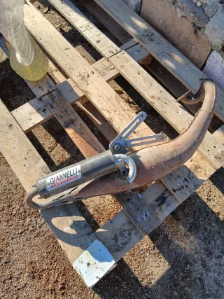 Escape Gianelli Carbono