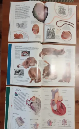 Enciclopedias Visuales, Libro Consulta, Atlas.