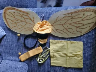 Vestito Carnevale Ape