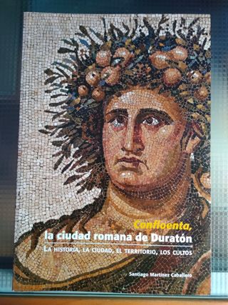 Confloenta, la ciudad romana de Duratón.
