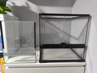 2 Terrarios, uno con guillotina