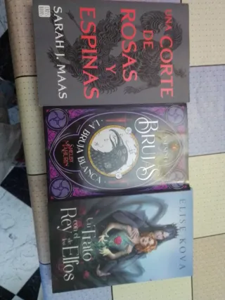 Un trato con el rey de los elfos, Asesino de Bruja