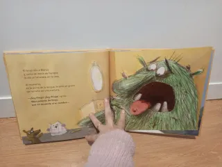 Libro infantil  Camuñas
