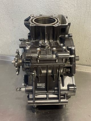 Motor BMW G310R 2017