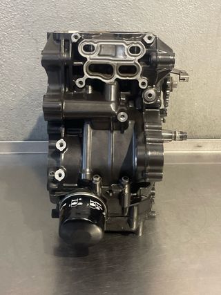Motor BMW G310R 2017