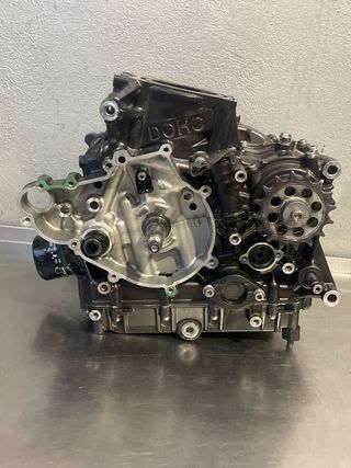 Motor BMW G310R 2017