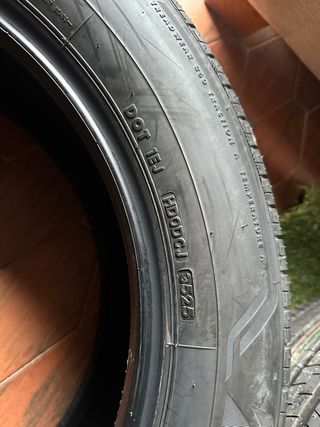 Neumático Bridgestone Alenza 225/60/18/100H
