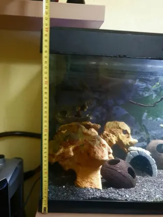 ACUARIO 100L + Filtro JBL CristalProfi e1502