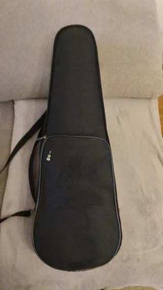 Violín 3/4 con arco