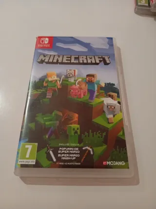 Minecraft Nintendo Switch