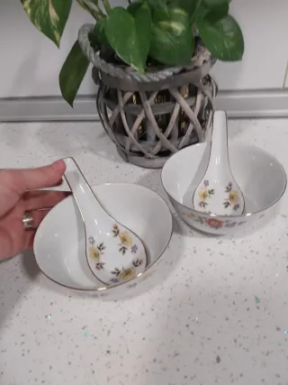 Juego de 2 cuencos de porcelana con cucharas