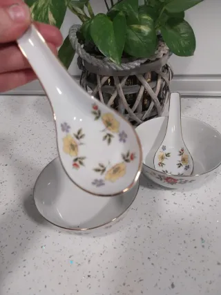 Juego de 2 cuencos de porcelana con cucharas