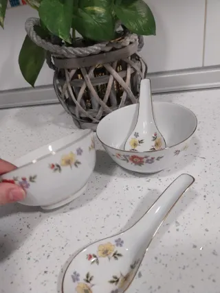 Juego de 2 cuencos de porcelana con cucharas