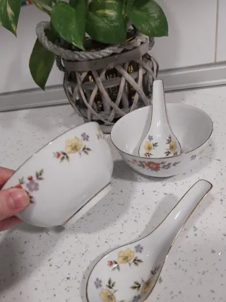 Juego de 2 cuencos de porcelana con cucharas