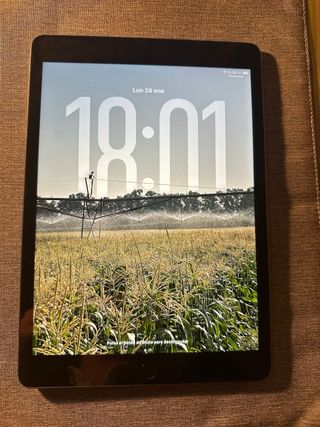 iPad 8ª Generación gris espacial