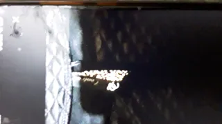 Chaquetilla corta chica nueva sin etiqueta