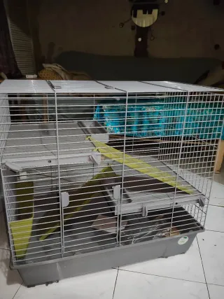 Jaula para conejos, cobayas y hurones