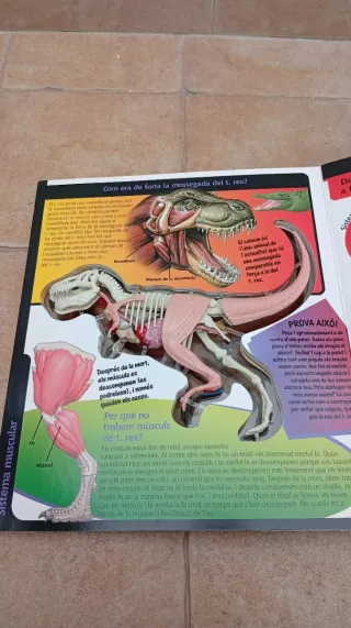 Libro-maqueta dinosaurio T-Rex