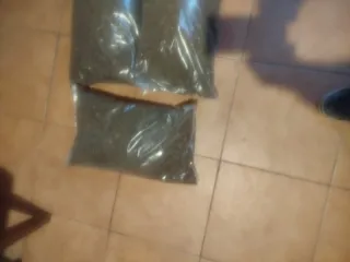 10L Tierra para cactus y suculentas