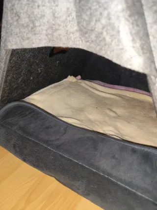 Cama para gatos, perros...