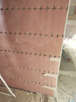 Reforma integral de vivienda y chales