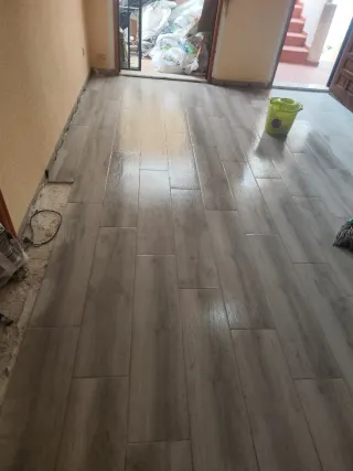 Reforma integral de vivienda y chales